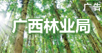廣西林業(yè)